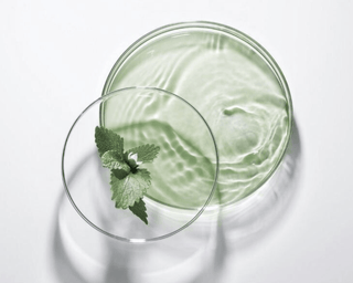Descubre los Biofermentos: El Secreto para una Piel Radiante y Saludable